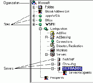 Введение в BackOffice 2.5
