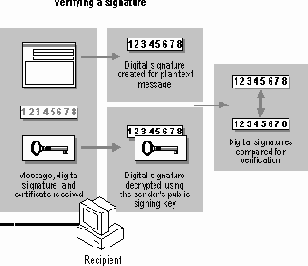 Введение в BackOffice 2.5