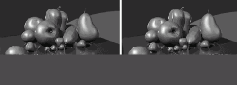    Maya 6
