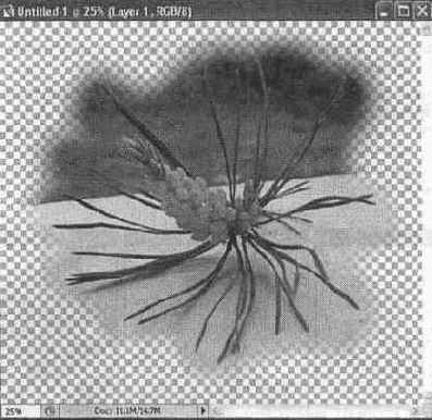 Photoshop CS2 и цифровая фотография