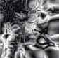 Уроки по Adobe Photoshop 7