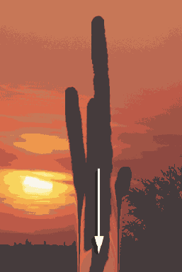   Adobe Photoshop 7