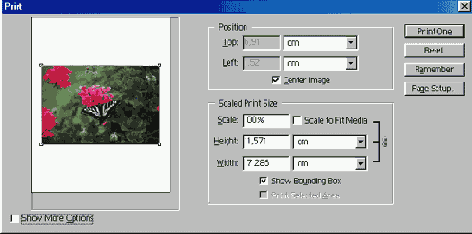 Самоучитель по Adobe Photoshop 7
