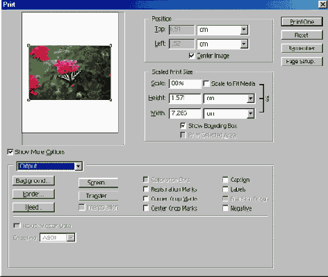 Самоучитель по Adobe Photoshop 7