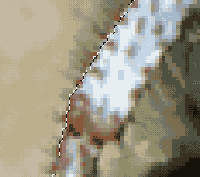   Adobe Photoshop 7
