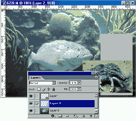   Adobe Photoshop 7