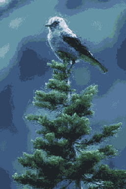 Самоучитель по Adobe Photoshop 7