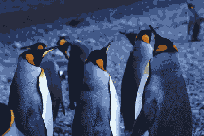   Adobe Photoshop 7