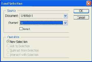 Photoshop 7  web 