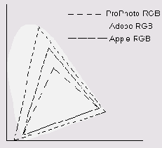 Растровая графика в Adobe Photoshop CS 8