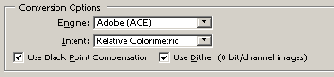 Растровая графика в Adobe Photoshop CS 8