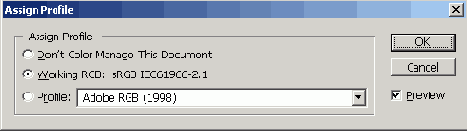 Растровая графика в Adobe Photoshop CS 8
