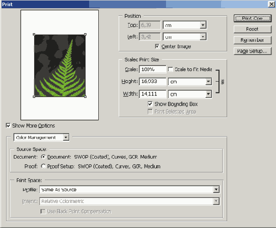 Растровая графика в Adobe Photoshop CS 8