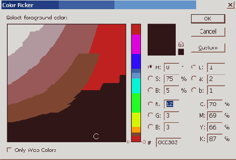 Растровая графика в Adobe Photoshop CS 8