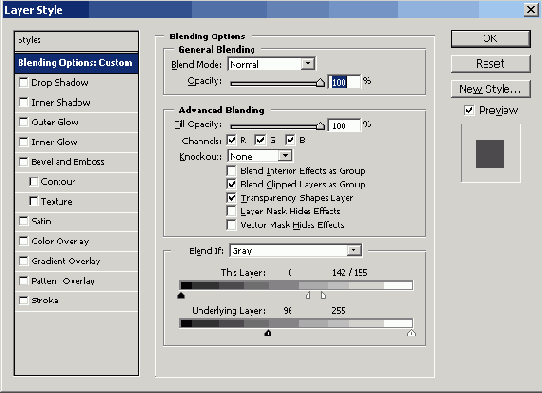 Растровая графика в Adobe Photoshop CS 8