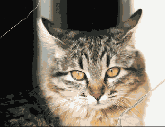 Растровая графика в Adobe Photoshop CS 8