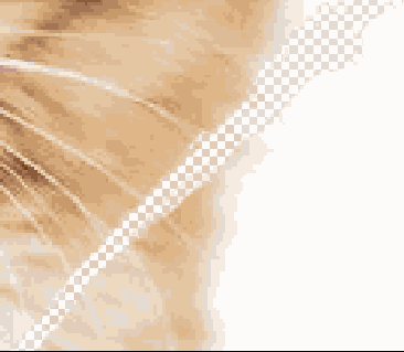 Растровая графика в Adobe Photoshop CS 8