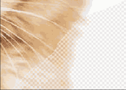 Растровая графика в Adobe Photoshop CS 8