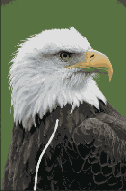 Растровая графика в Adobe Photoshop CS 8