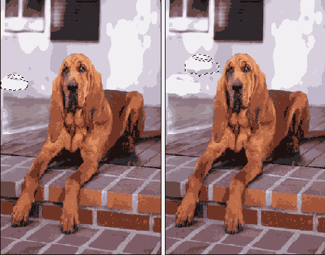 Растровая графика в Adobe Photoshop CS 8