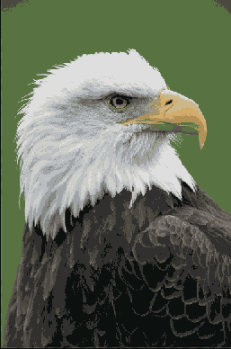 Растровая графика в Adobe Photoshop CS 8