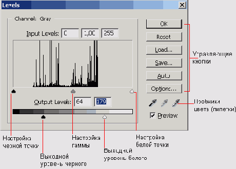 Растровая графика в Adobe Photoshop CS 8