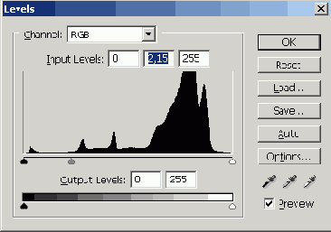 Растровая графика в Adobe Photoshop CS 8