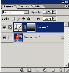 Растровая графика в Adobe Photoshop CS 8
