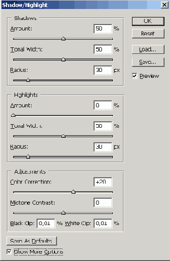 Растровая графика в Adobe Photoshop CS 8