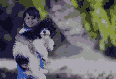 Растровая графика в Adobe Photoshop CS 8