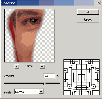    Adobe Photoshop CS 8