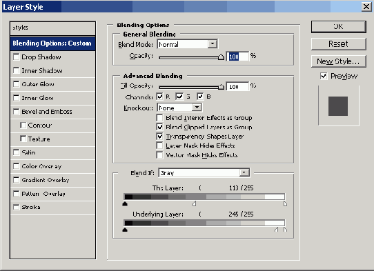    Adobe Photoshop CS 8