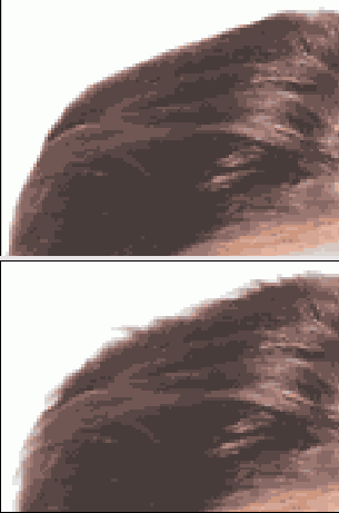    Adobe Photoshop CS 8