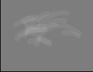   Adobe Photoshop CS 8