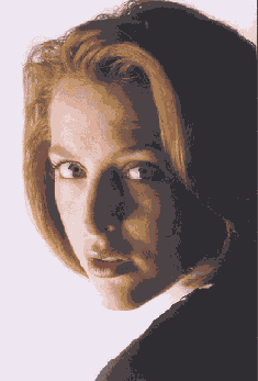    Adobe Photoshop CS 8