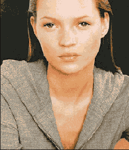    Adobe Photoshop CS 8