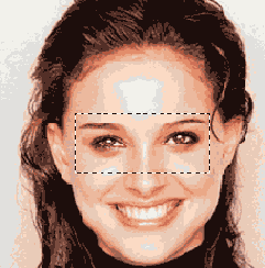    Adobe Photoshop CS 8