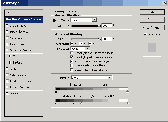    Adobe Photoshop CS 8