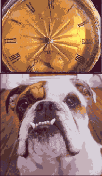    Adobe Photoshop CS 8