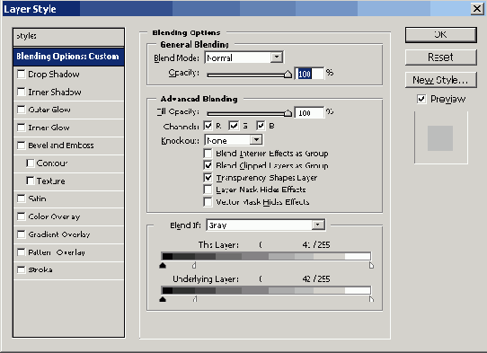    Adobe Photoshop CS 8