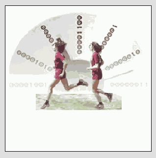    Adobe Photoshop CS 8