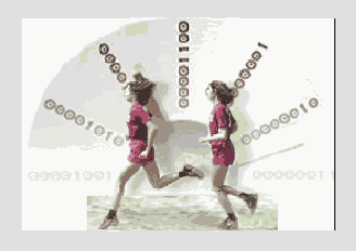    Adobe Photoshop CS 8