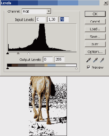    Adobe Photoshop CS 8