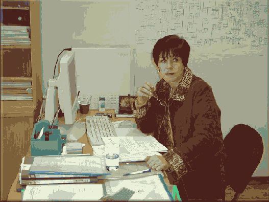    Adobe Photoshop CS 8