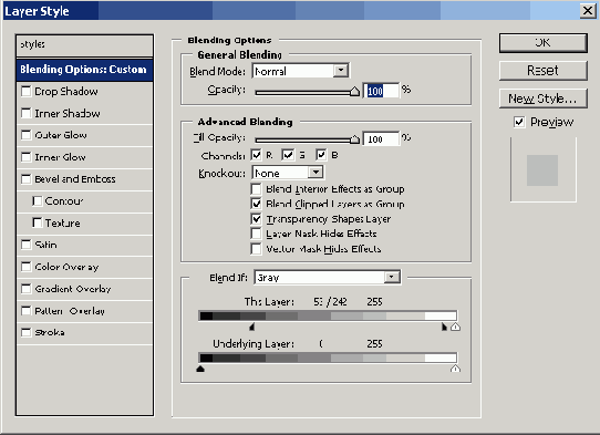    Adobe Photoshop CS 8