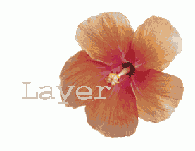 Самоучитель по Adobe Photoshop 7
