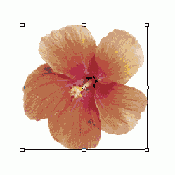Самоучитель по Adobe Photoshop 7
