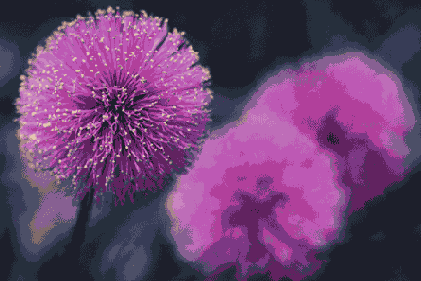 Самоучитель по Adobe Photoshop 7
