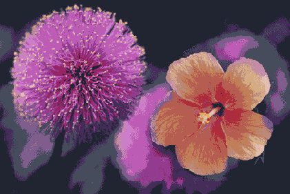 Самоучитель по Adobe Photoshop 7
