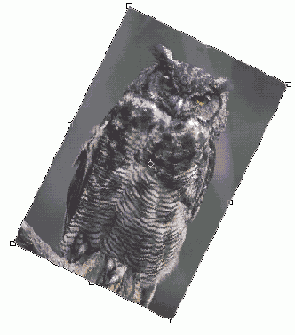 Самоучитель по Adobe Photoshop 7
